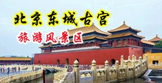 美女被肏免费观看网中国北京-东城古宫旅游风景区